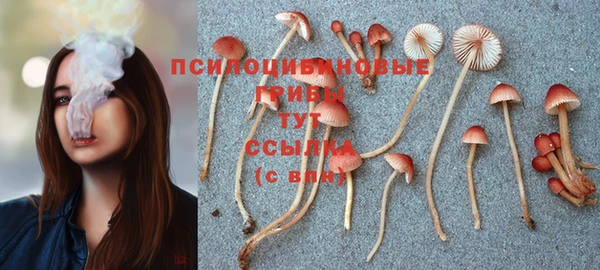 МДМА Волосово