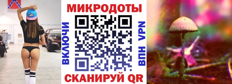 Купить закладки  Луга  Галлюциногенные грибы мицелий 